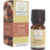 Ambience Ingefær Olie Ø (10 ml)
