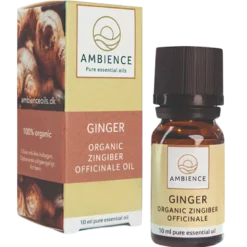 Ambience Ingefær Olie Ø (10 ml)
