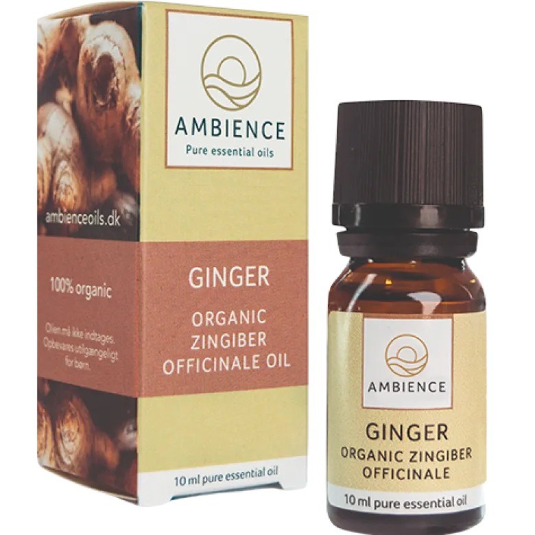 Ambience Ingefær Olie Ø (10 ml)