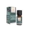 Ambience Æterisk Eukalyptus Olie Ø (10 ml)