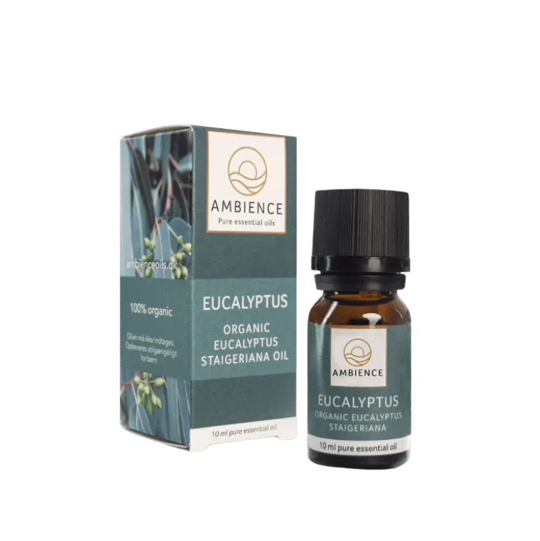 Ambience Æterisk Eukalyptus Olie Ø (10 ml)