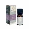 Ambience Æterisk Salvie Olie Ø (10 ml)