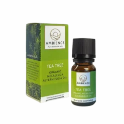 Ambience Æterisk Tea Tree Olie Ø (10 ml)