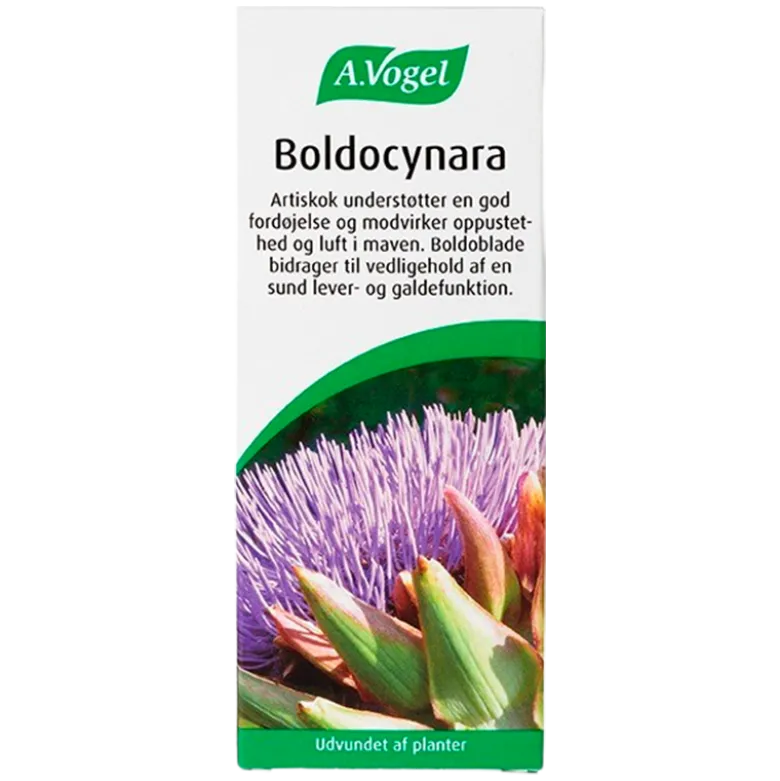 A. Vogel Boldocynara (100 ml)