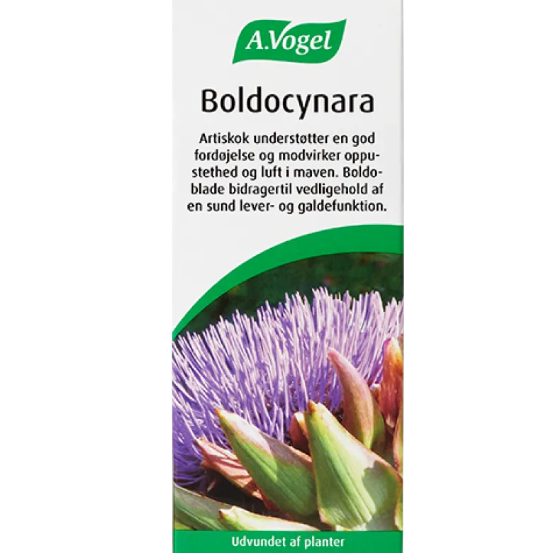 A. Vogel Boldocynara (50 ml)