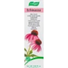 A. Vogel Echinacea Creme (30 g)