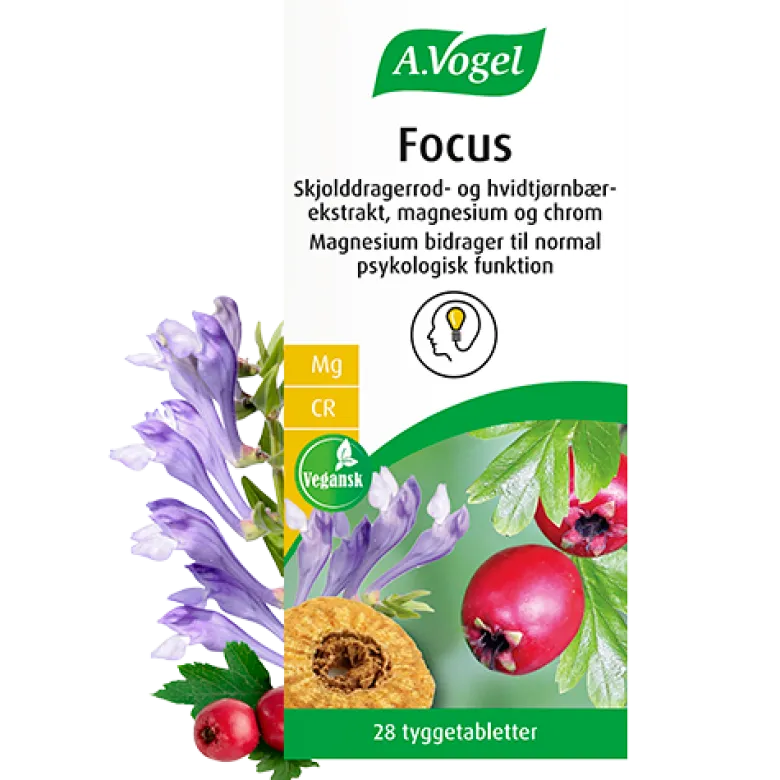A. Vogel Focus (28 tabl)