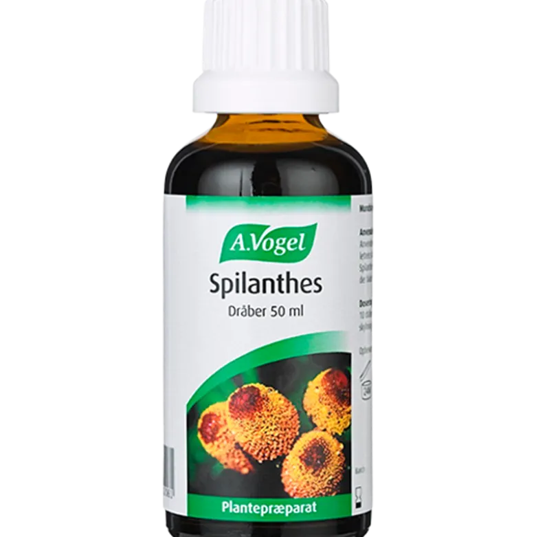 A. Vogel Spilanthes Mundskyl (50 ml)