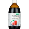 A. Vogel Valleforce Berry (500 ml)