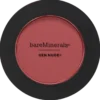 bareMinerals Gen Nude Powder Blush You Had Me at Merlot (6 g)