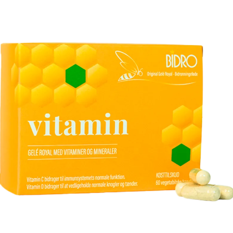 Bidro Vitamin Vegansk (60 kaps)