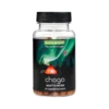 Bioform Chaga (60 kaps)