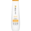 Biolage Smooth Proof Shampoo (250 ml)