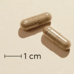 Biosym OmniJern (60 kap)