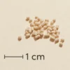 Biosym OmniOmega Lecithin (300 g)