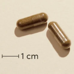 Biosym OmniVita EchinaGold (60 kaps)