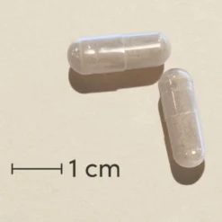 Biosym OmniVita Stress (60 kaps)