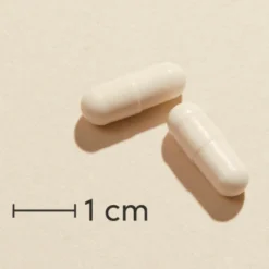Biosym Symbioflor+ (60 kapsler)