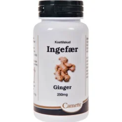 Camette Ingefær (140 tab)