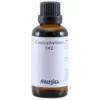 Caulophyllum D12 (50 ml)