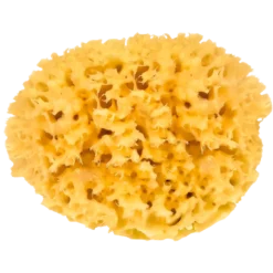 Croll & Denecke Natursvamp (13 cm)
