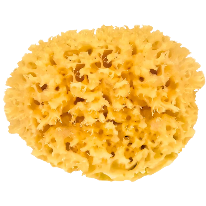 Croll & Denecke Natursvamp (13 cm)
