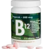 DFI B12 Vitamin 500 mcg (90 tabletter)