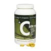DFI C 500 mg med Hyben (240 depottabletter)