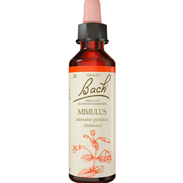 Dr. Bach Abeblomst Dråber (10 ml)