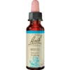 Dr. Bach Almindelig Bøg Dråber (10 ml)