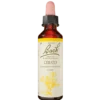 Dr. Bach Cerato Dråber (10 ml)