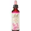 Dr. Bach Elm Dråber (10 ml)