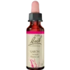 Dr. Bach Europæisk Lærk Dråber (10 ml)