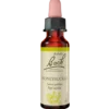 Dr. Bach Ægte Kaprifolie Dråber (10 ml)