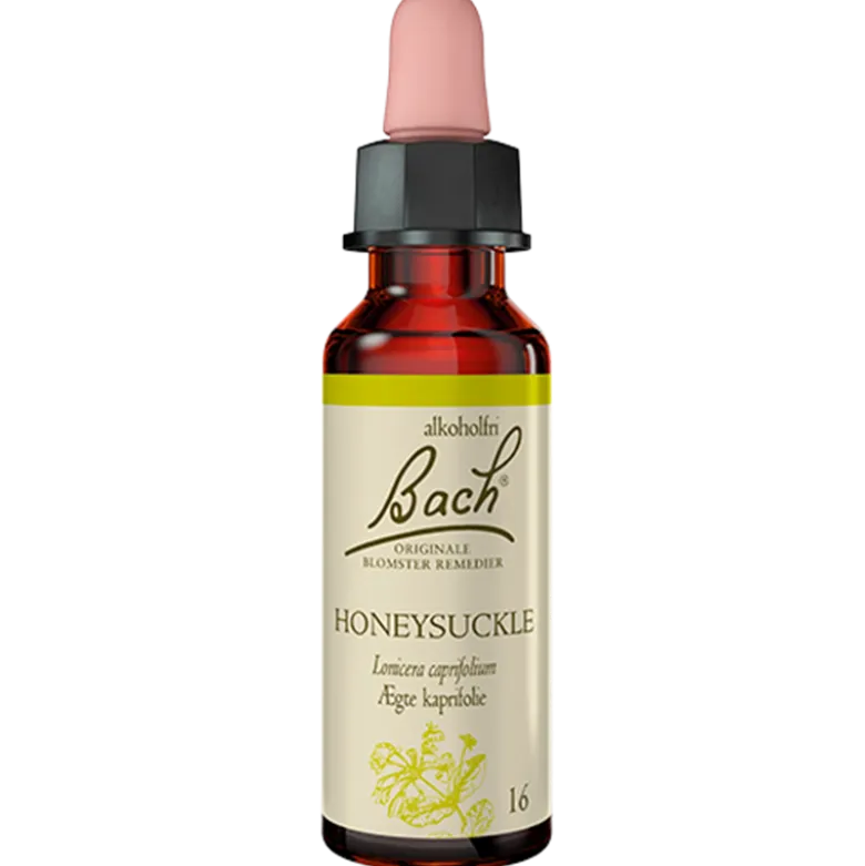 Dr. Bach Ægte Kaprifolie Dråber (10 ml)
