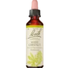 Dr. Bach Hestekastanie Dråber (10 ml)