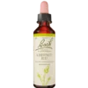 Dr. Bach Kastanieknop Dråber (10 ml)