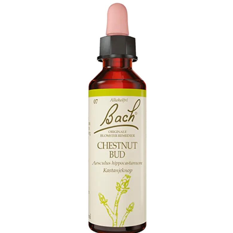 Dr. Bach Kastanieknop Dråber (10 ml)