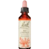 Dr. Bach Rød Hestekastanie Dråber (10 ml)