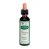 Dr. Bach Recovery plus Engholm (20 ml)