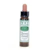 Dr Bach Recovery remedy Engholm (10 ml)