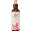 Dr. Bach Skovfyr Dråber (10 ml)