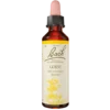 Dr. Bach Tornblad Dråber (10 ml)