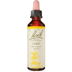 Dr. Bach Tornblad Dråber (10 ml)