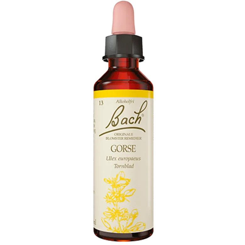 Dr. Bach Tornblad Dråber (10 ml)
