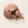 Ecooking Sun Powder 04 (8,5 g)