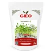 GEO Broccoli Raab Til Spiring Ø (500 g)
