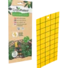Green Protect Gule Insektfælder (5 stk)