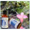 Holistica Medica Hals Chakra (50 ml)