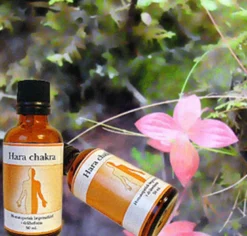 Holistica Medica Hara chakra (50 ml)